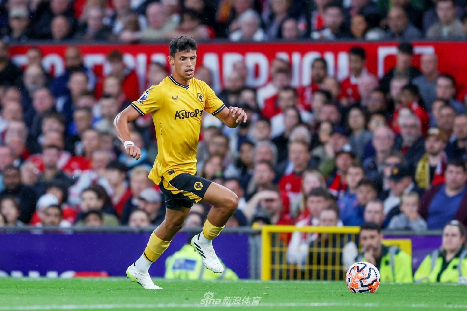 球迷的喜爱 球迷的喜爱